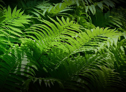 BOBty综合体育·(BOB Sport)官方网站